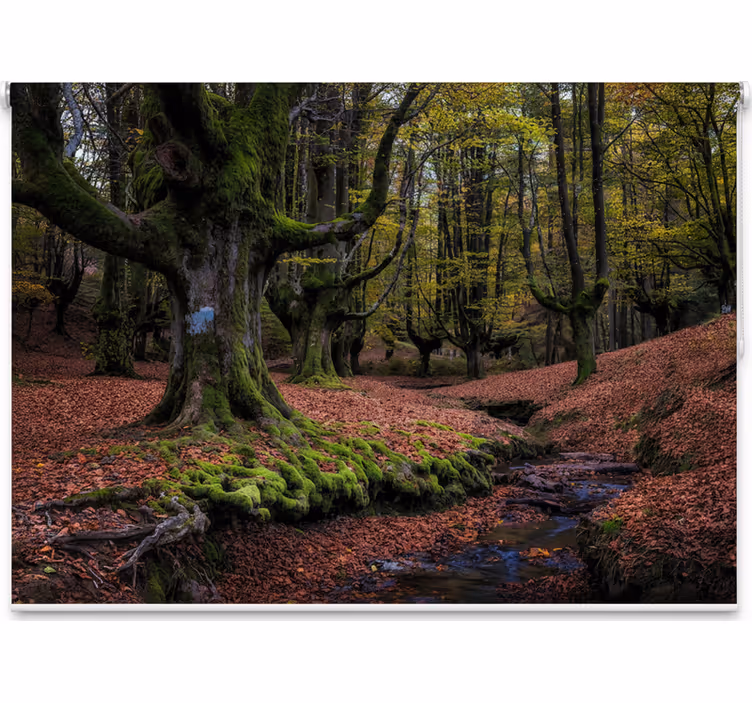 Store enrouleur arbre forêt automnale enchantée - TenStickers