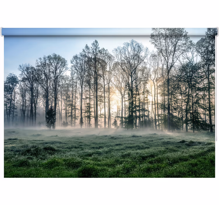 Store enrouleur arbre prairie matinale brumeuse - TenStickers