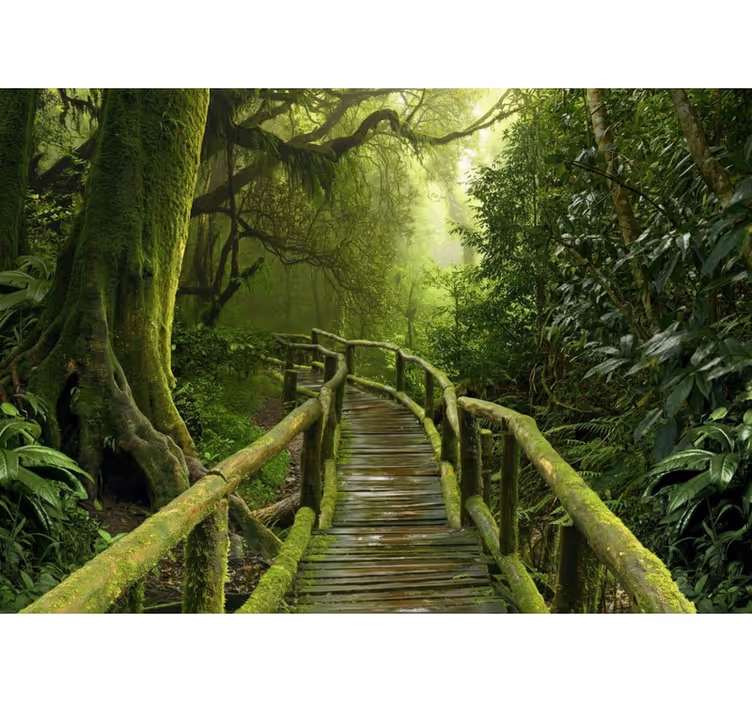 Store enrouleur arbre allée verdoyante mousseuse - TenStickers