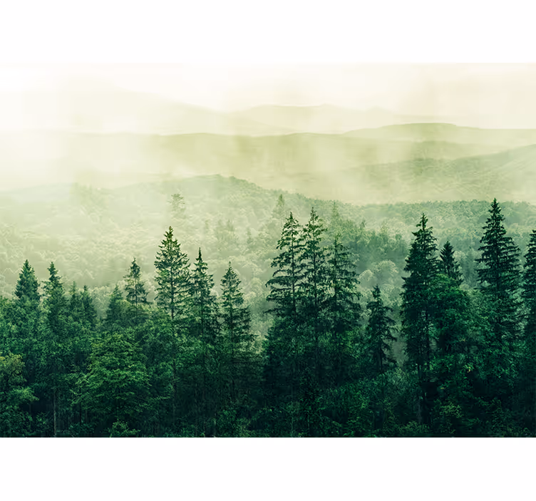 Store enrouleur cuisine cimes de forêt verte - TenStickers