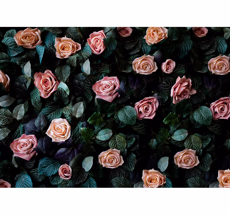Store enrouleur cuisine roses corail roses - TenStickers