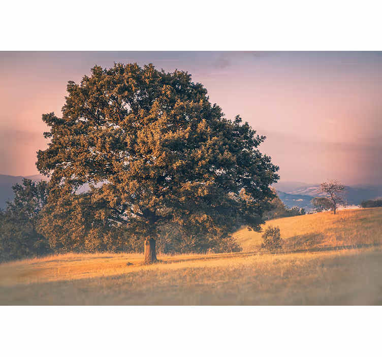 Store enrouleur salon style cottagecore arbre ancien - TenStickers
