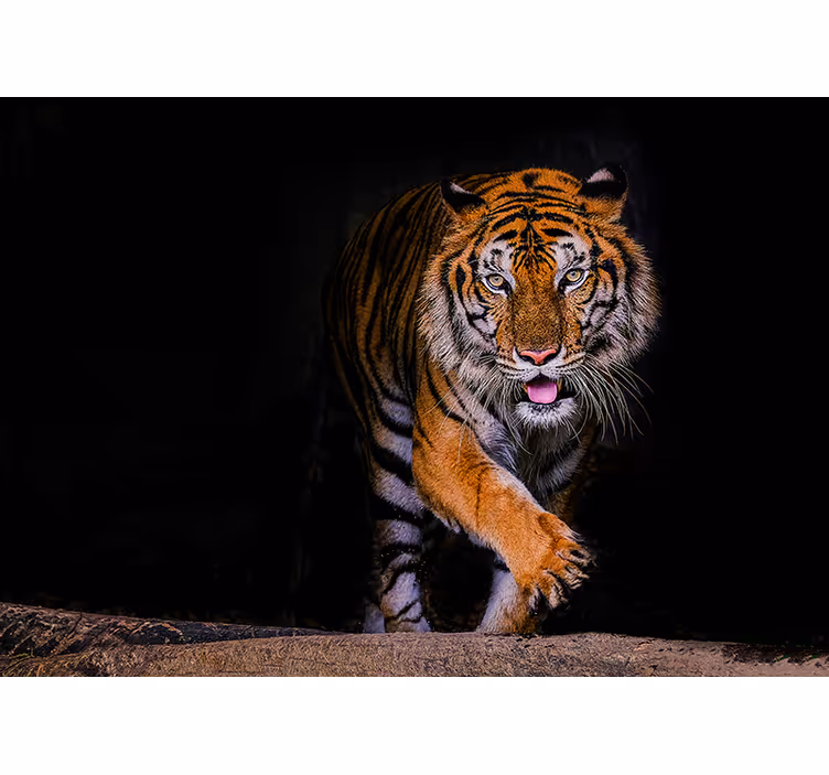 Store enrouleur noir motif tigre - TenStickers