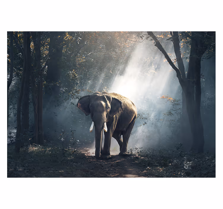 Store enrouleur salon éléphant dans la forêt - TenStickers