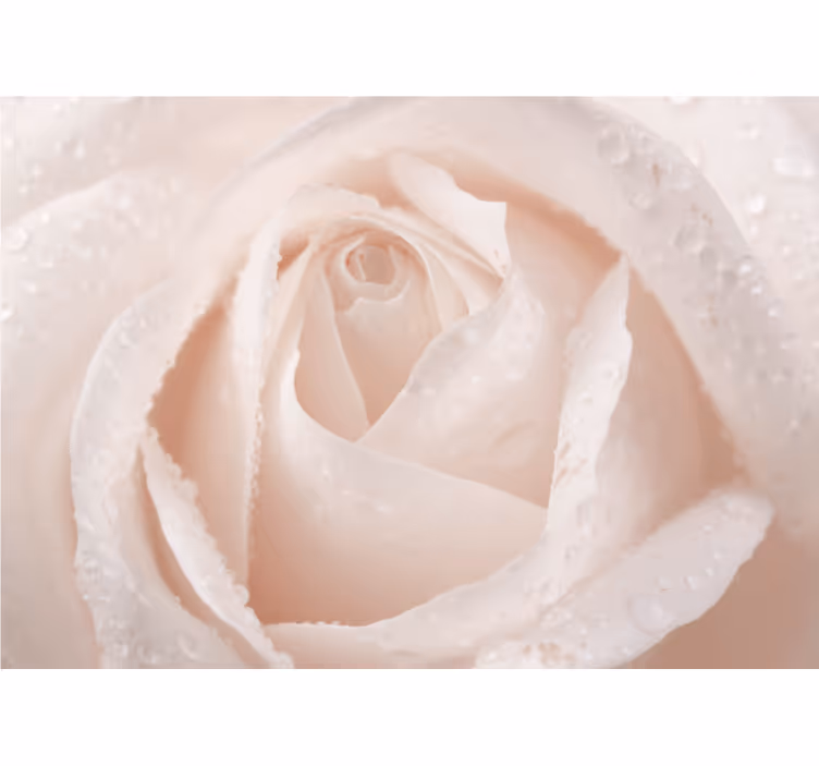 Store enrouleur salon rose blanche magnifique - TenStickers