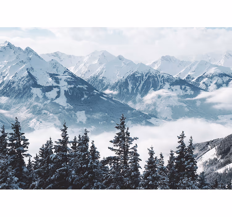 Store enrouleur salon montagnes enneigées et arbres - TenStickers