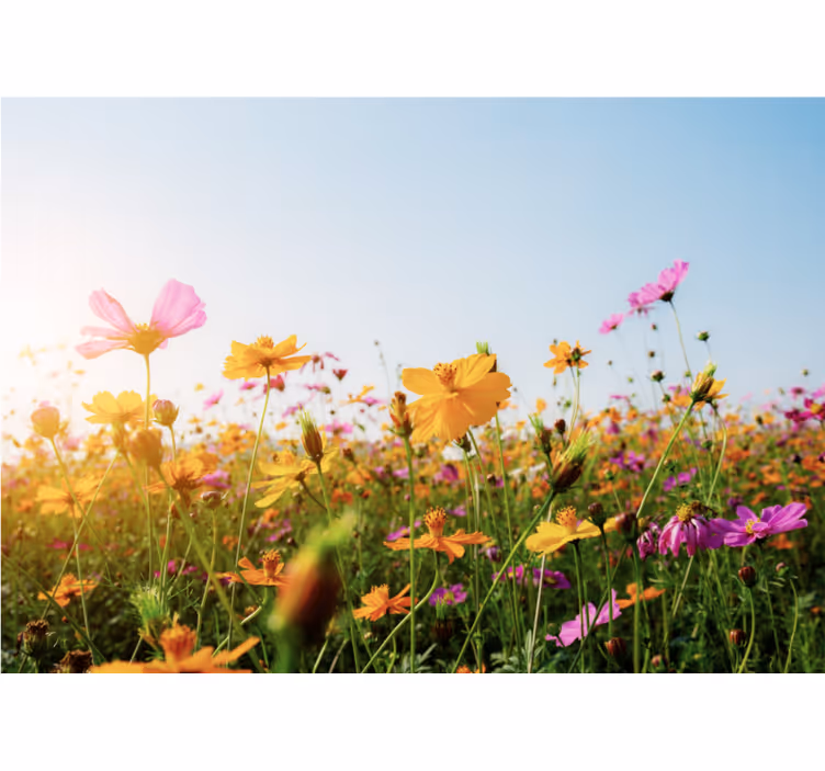 Store enrouleur salon mélange de fleurs - TenStickers