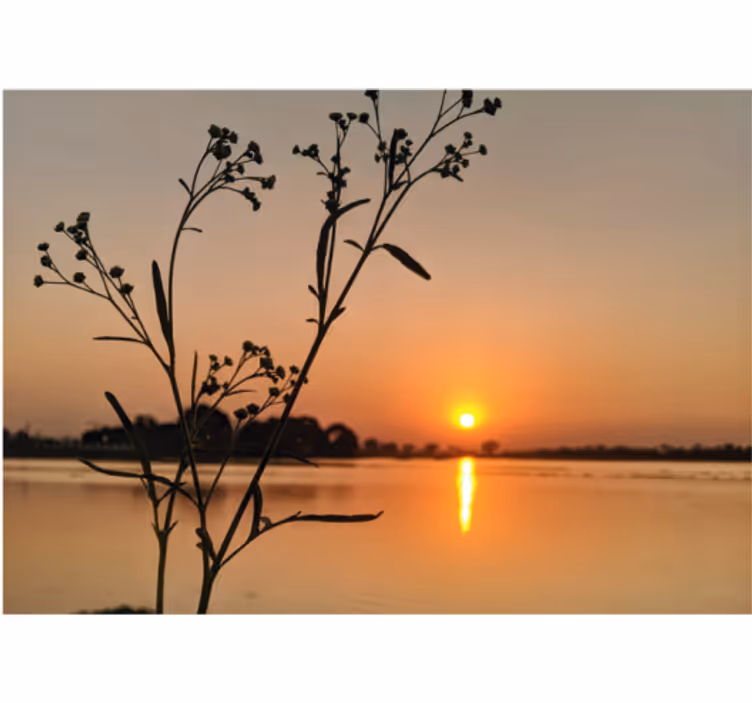 Store enrouleur salon coucher de soleil sur le lac - TenStickers