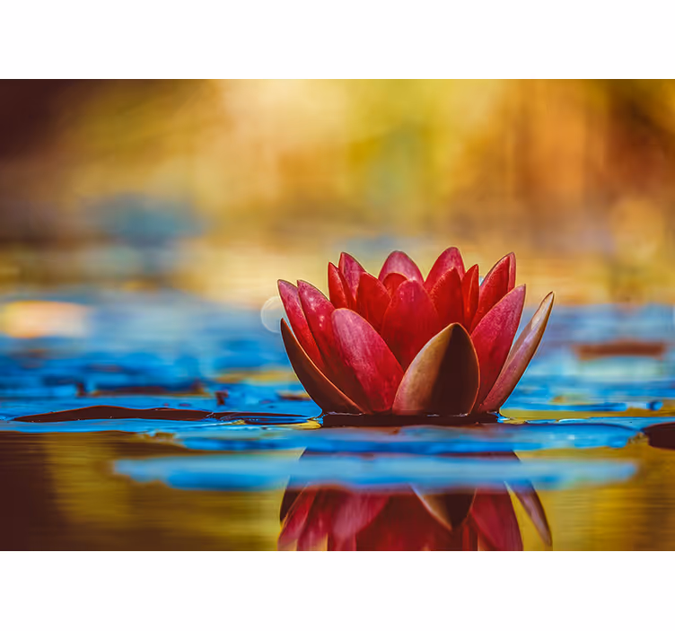 Store enrouleur salon fleur de lotus zen réfléchie - TenStickers