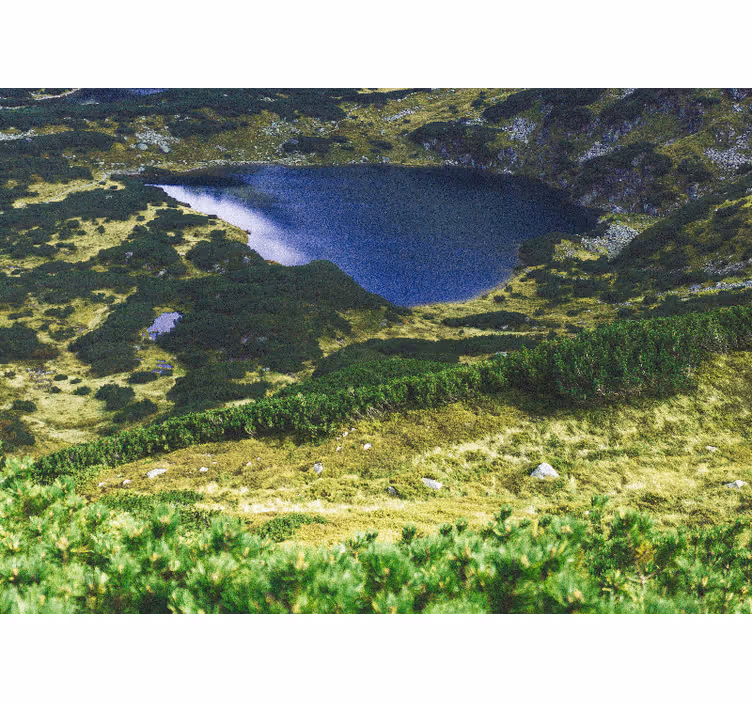Store enrouleur salon tatras verts polonais - TenStickers