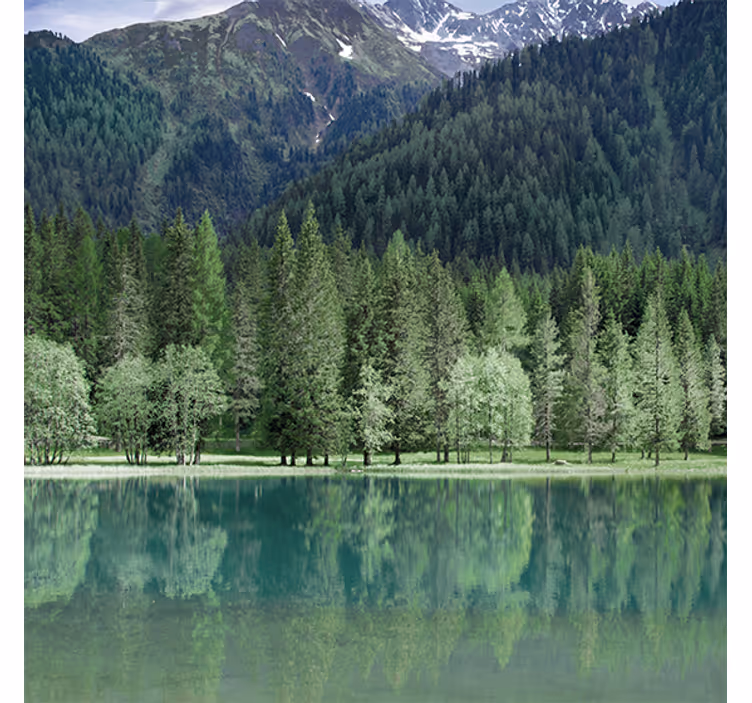 Store enrouleur salon lac verdoyant naturel - TenStickers