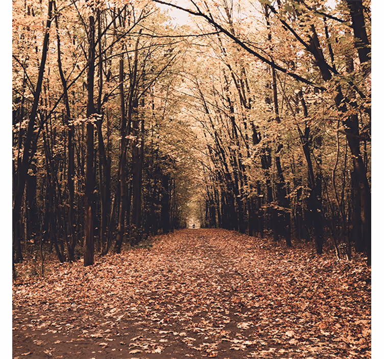 Store enrouleur salon forêt automnale magnifique - TenStickers