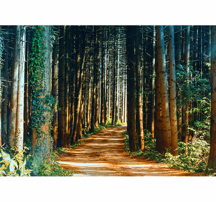 Store enrouleur salon chemin naturel avec arbres - TenStickers
