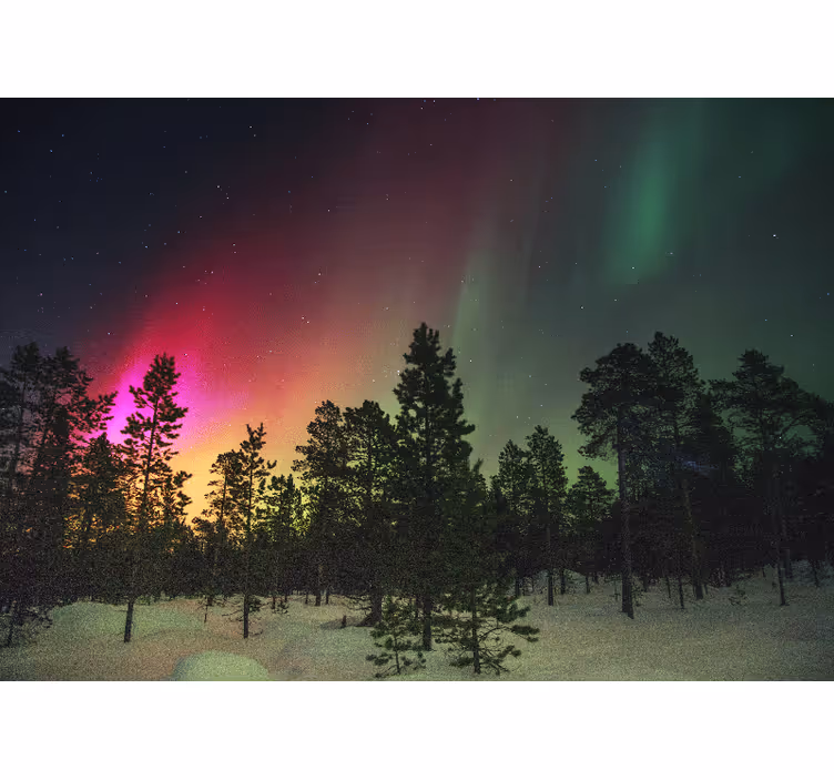 Store enrouleur chambre lumières boréales sur arbres - TenStickers