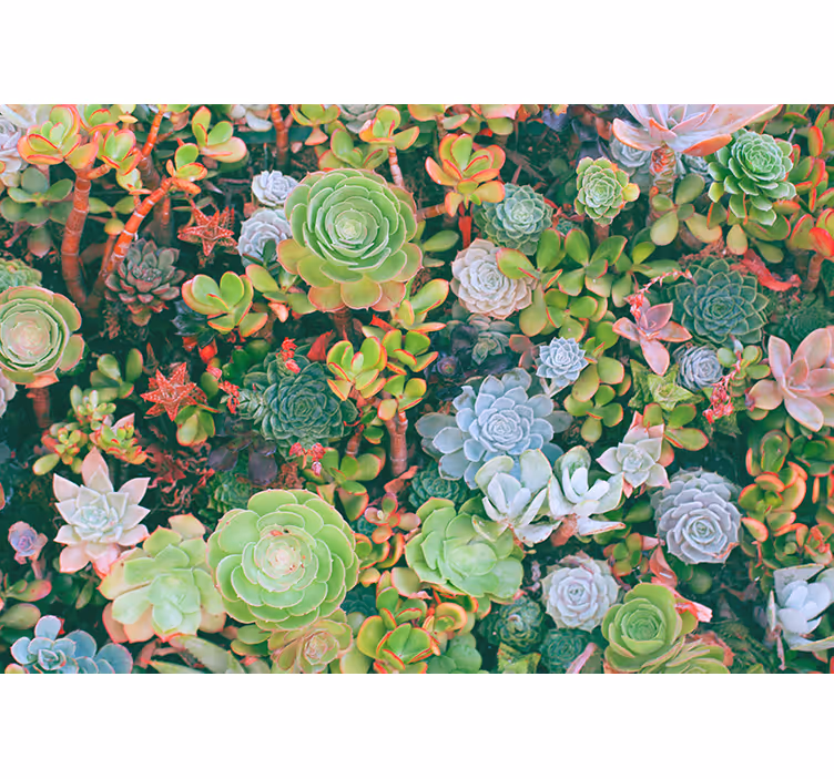 Store enrouleur chambre feuilles tropicales multicolores - TenStickers