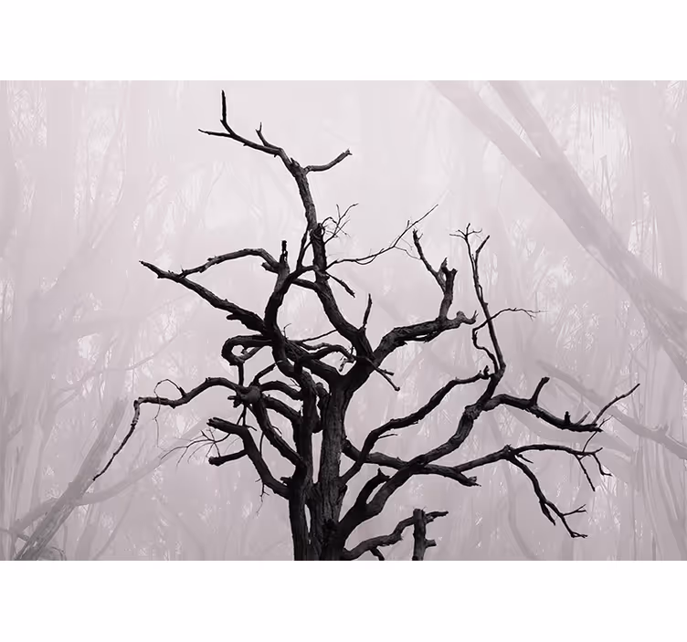 Store enrouleur chambre branches d'arbres dans le brouillard - TenStickers