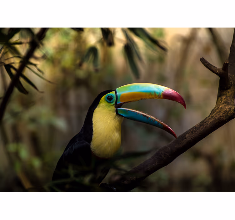Store enrouleur chambre tucan dans la jungle - TenStickers