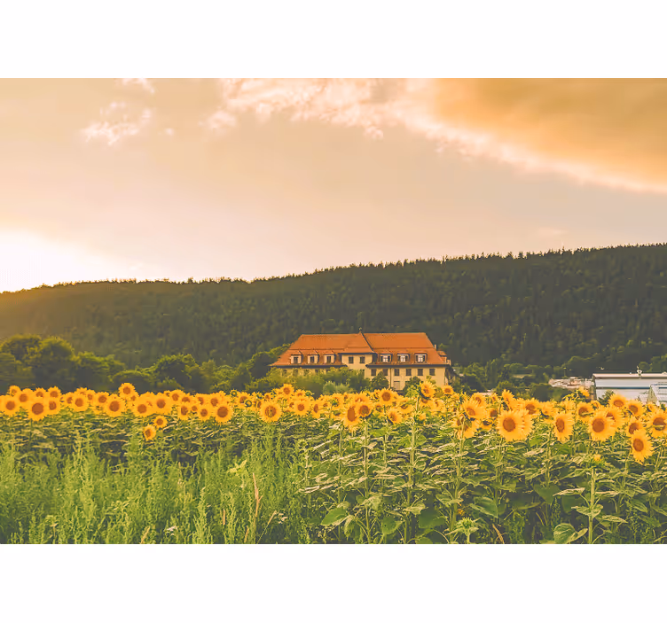Store enrouleur chambre champ magnifique fleuri - TenStickers