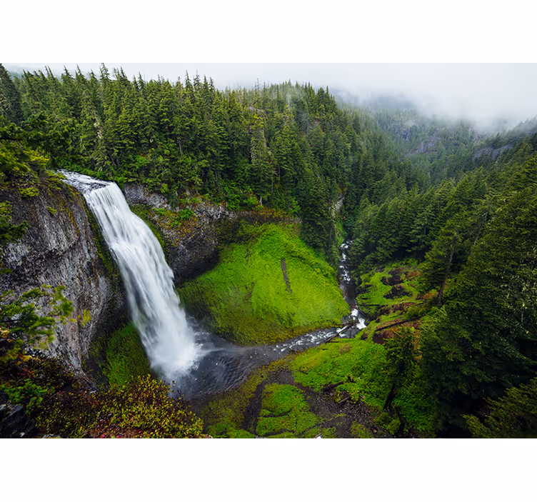 Store enrouleur chambre cascade paisible en forêt verte - TenStickers