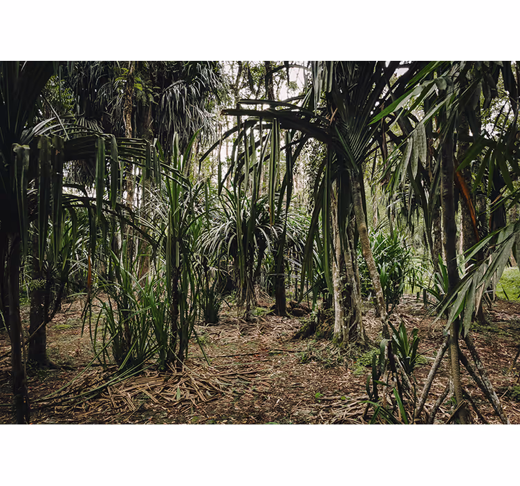 Store enrouleur chambre forêt tropicale en profondeur - TenStickers