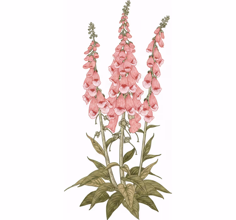 Store enrouleur salon fleurs roses - TenStickers