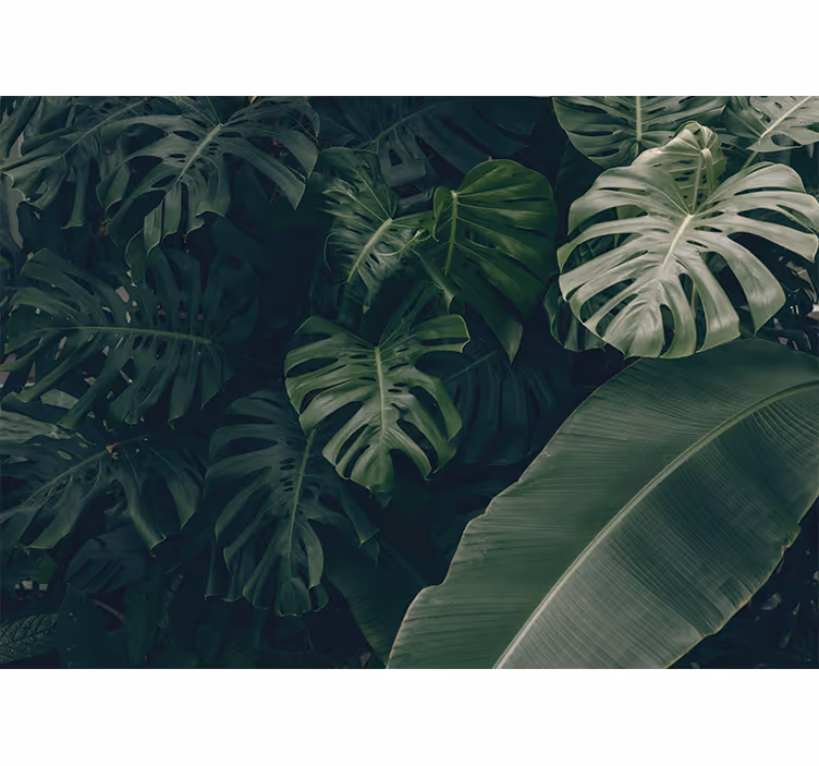 Store enrouleur chambre forêt tropicale verte - TenStickers