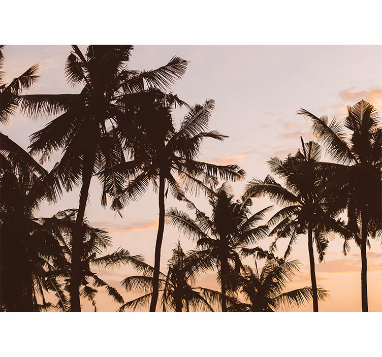 Store enrouleur chambre palmiers au coucher de soleil - TenStickers