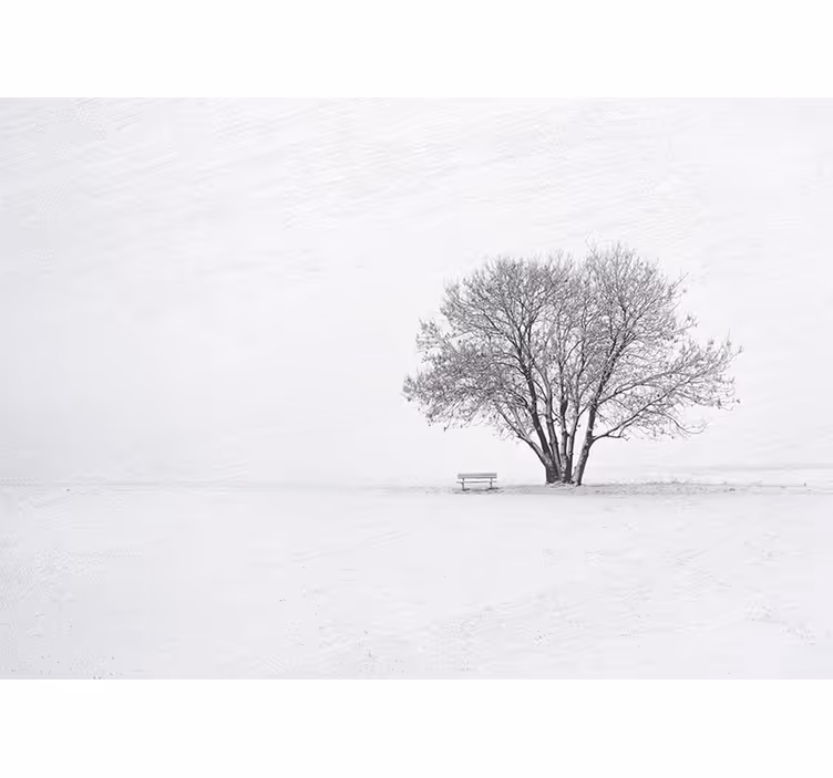 Store enrouleur blanc style scandinave hiver arbre neige - TenStickers