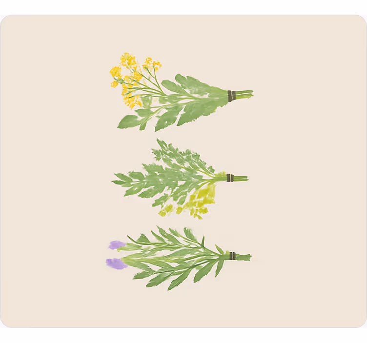 Store enrouleur cuisine fleurs simples et élégantes - TenStickers