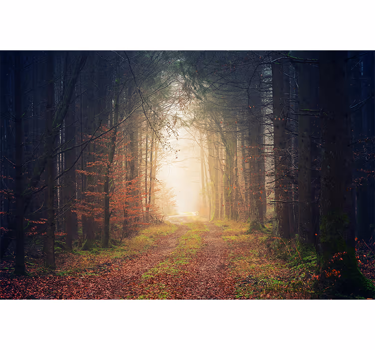 Store enrouleur salon chemin d'automne - TenStickers
