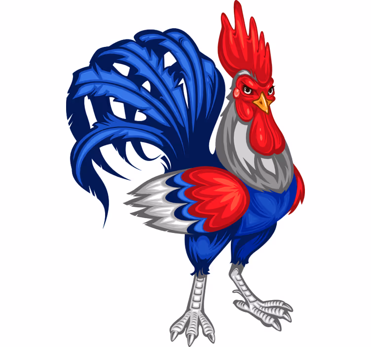 Store enrouleur pour chambre ado motif coq français - TenStickers