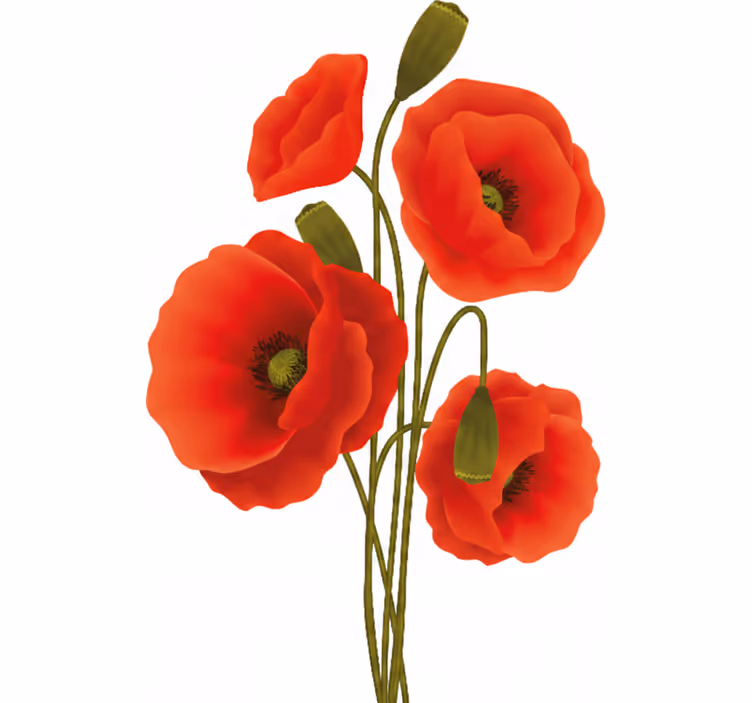 Store enrouleur motif fleur coquelicots - TenStickers