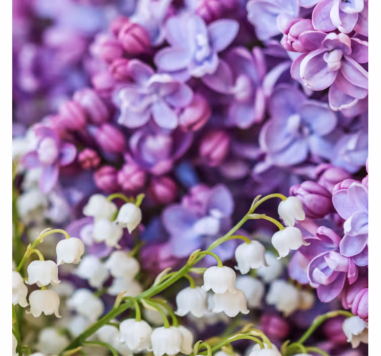 Store enrouleur bureaux fleurs marguerites toutes saisons - TenStickers