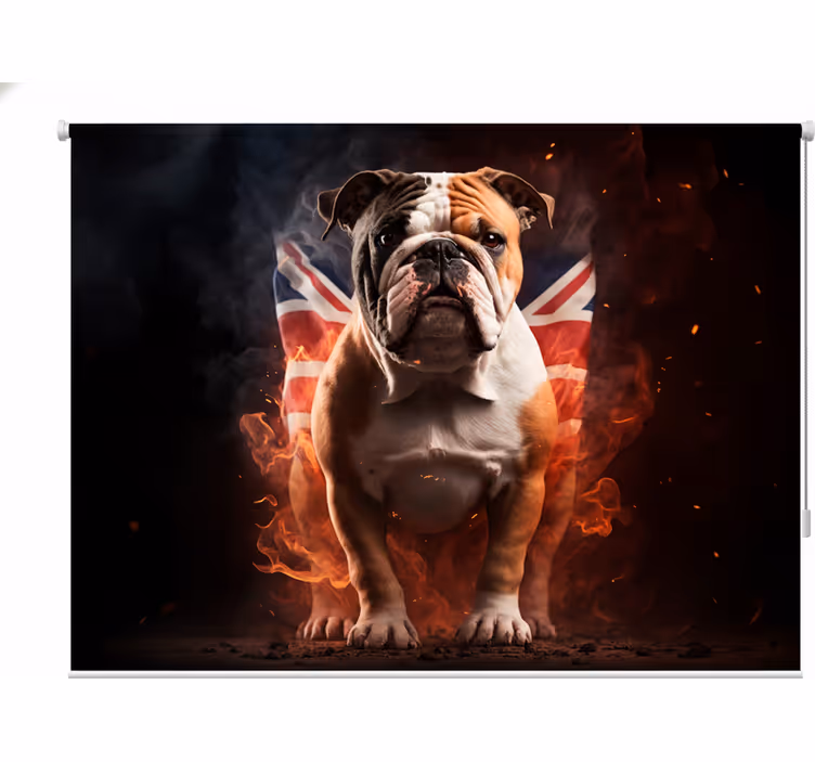 Store enrouleur pour chambre ado bulldog britannique en feu - TenStickers