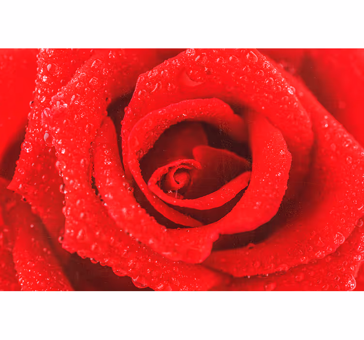 Store enrouleur rouge fleur rose - TenStickers