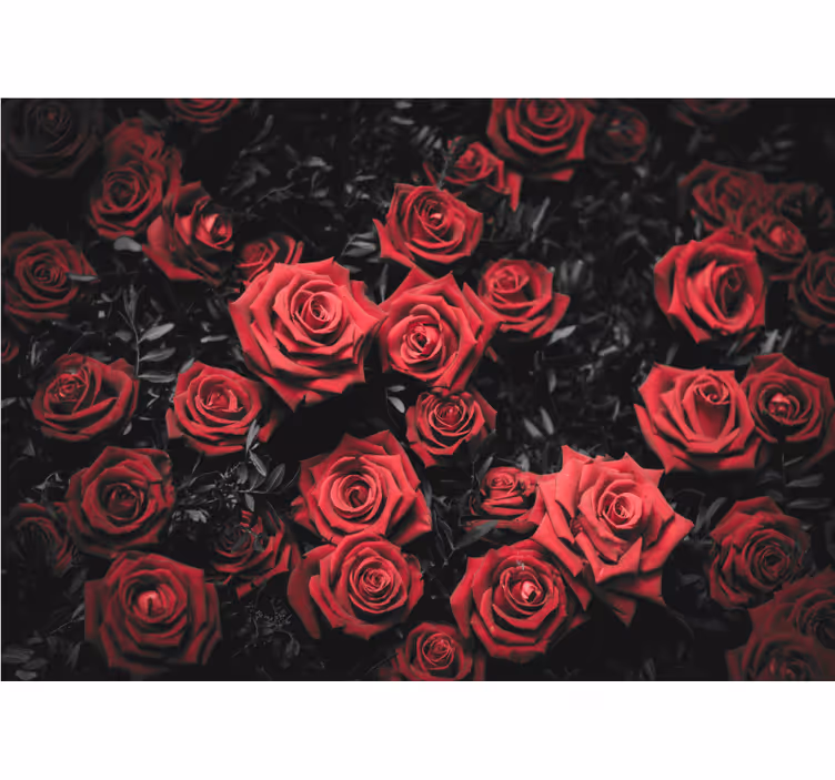 Store enrouleur rouge noir et blanc avec roses rouges - TenStickers