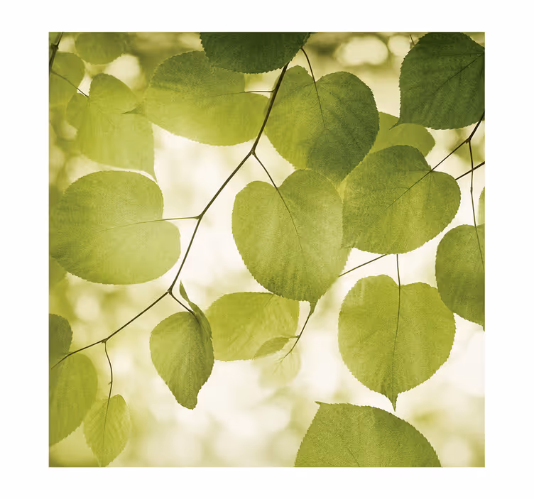 Store enrouleur couple largeur 200 feuilles florales - TenStickers