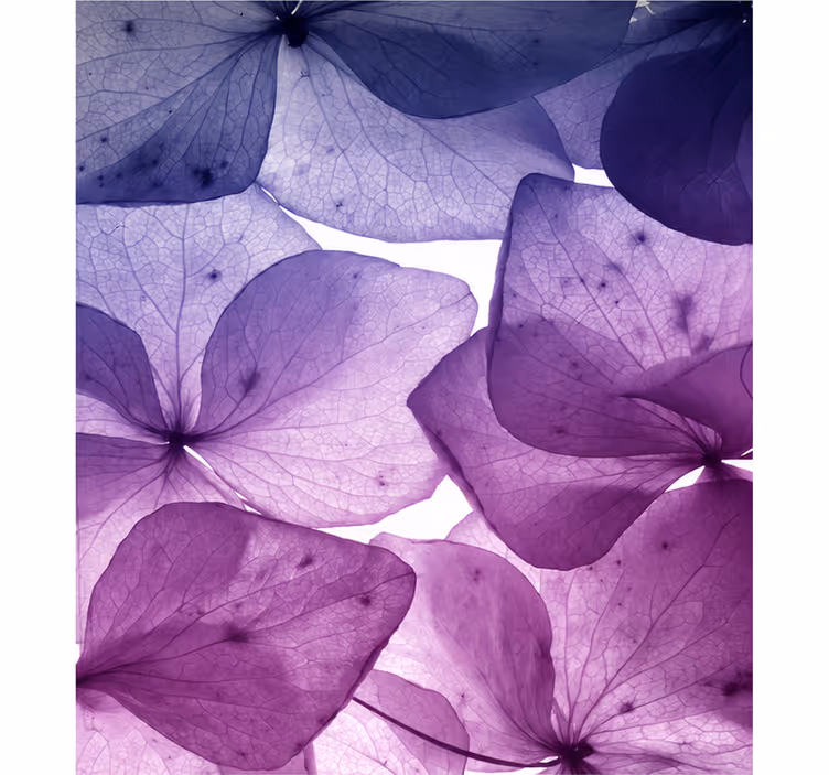 Store enrouleur violet floral joyeux et paisible - TenStickers