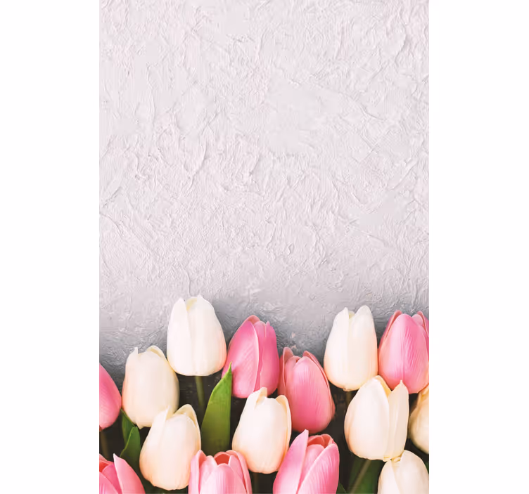 Stores fleurs Tulipes blanches et roses - TenStickers