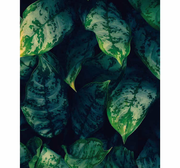 Stores enrouleurs fleurs et plantes feuillage vert vif - TenStickers