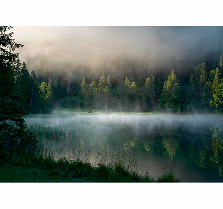 Store enrouleur arbre reflet de la forêt brumeuse - TenStickers