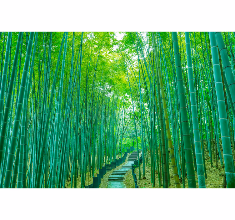 Store enrouleur arbre chemin de bambou luxuriant - TenStickers