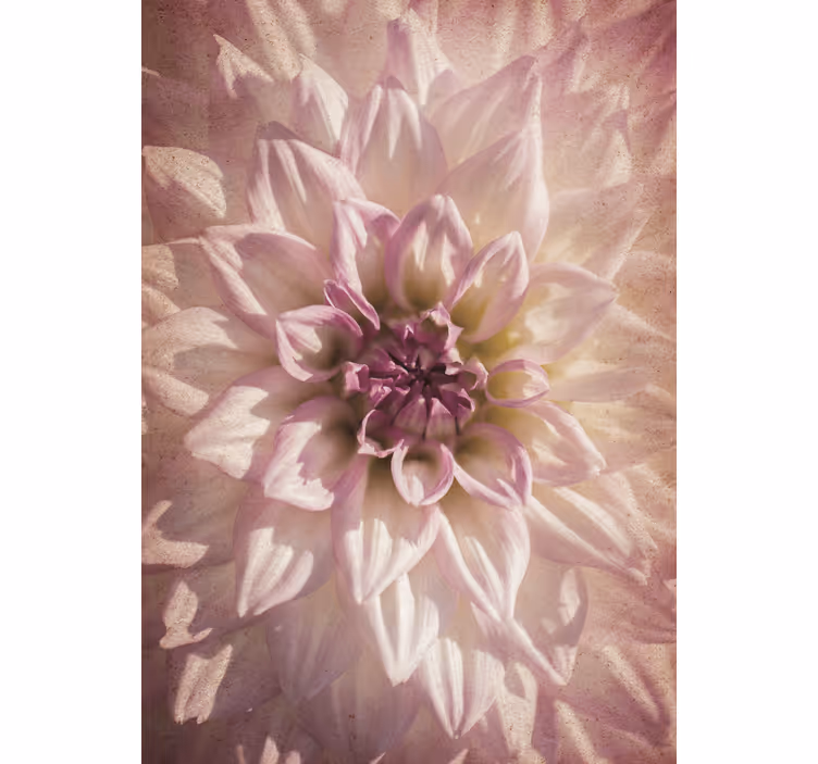 Stores enrouleurs fleurs et plantes floraison délicate - TenStickers