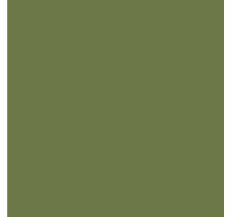 Store vert nuances olive - TenStickers