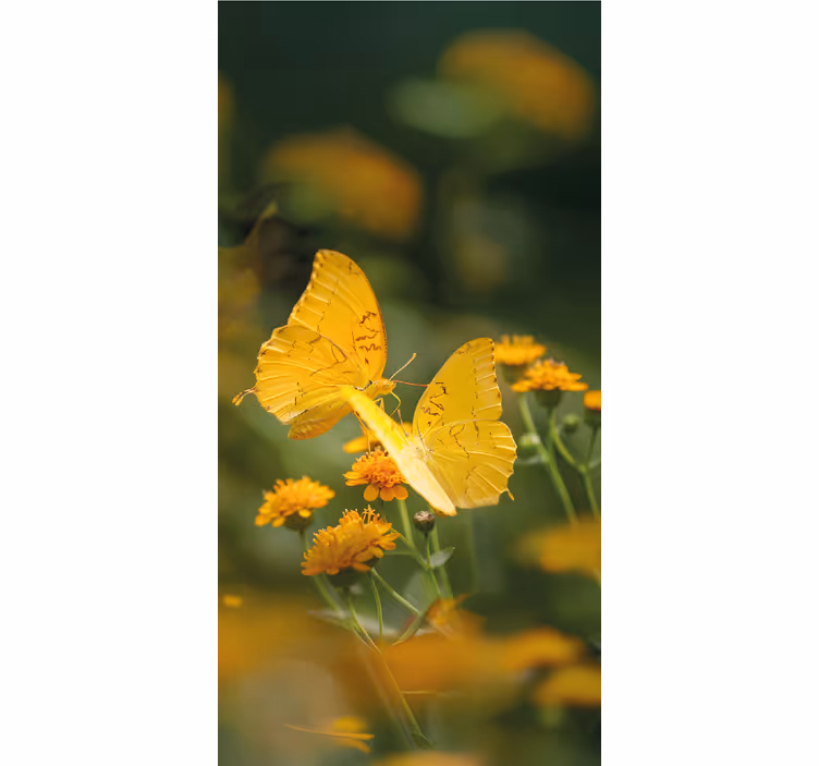 Store papillon ailes jaunes réalistes - TenStickers