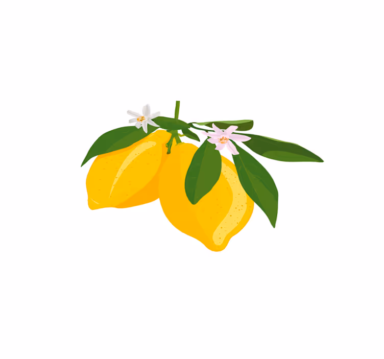 Set de table original illustration de branche de citron - TenStickers