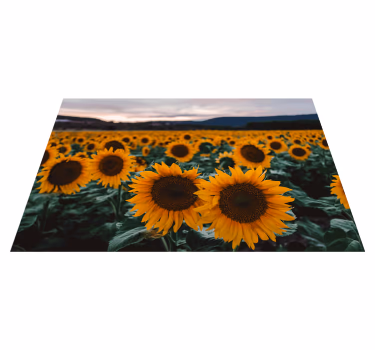 Set de table original champ de tournesols - TenStickers