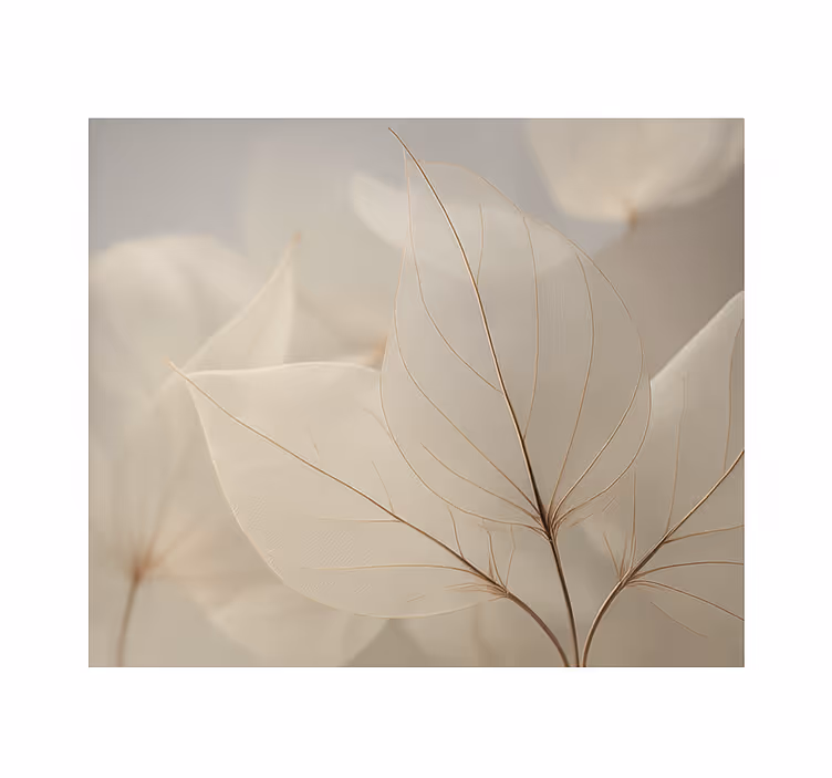 Tapisserie salon feuilles squelettiques blanches - TenStickers