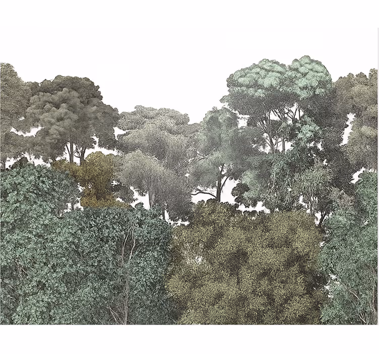 Tapisserie chambre ado motif élégant de forêt tropicale - TenStickers