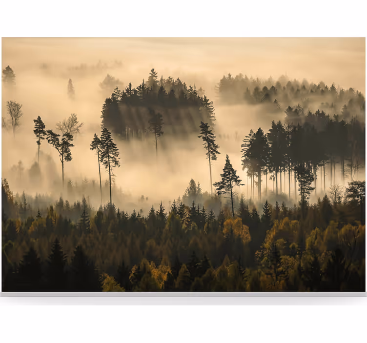 Tapisserie forêt brume matinale éthérée - TenStickers